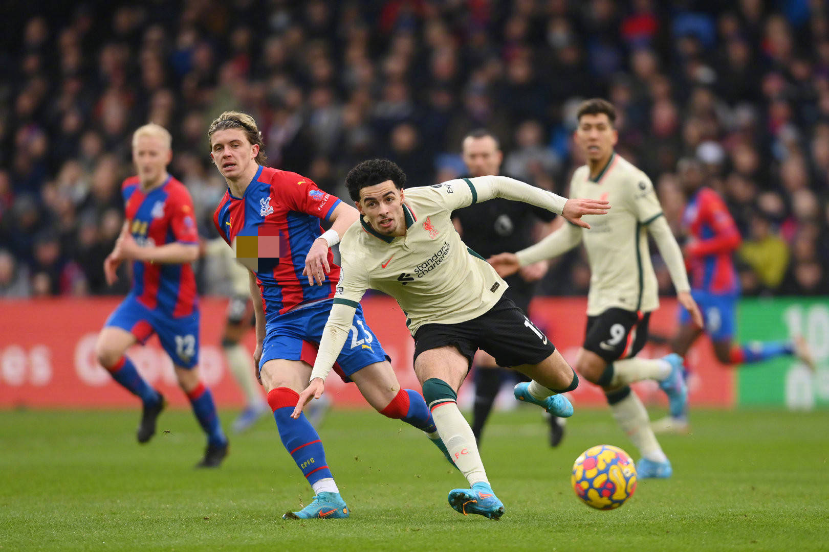 层关注的重 层关注的重